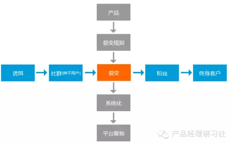 微信小程序开发:让生活更便捷的小秘密